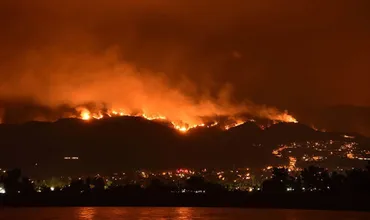 山火事！地球温暖化が招く脅威？山火事の原因と対策とは！？