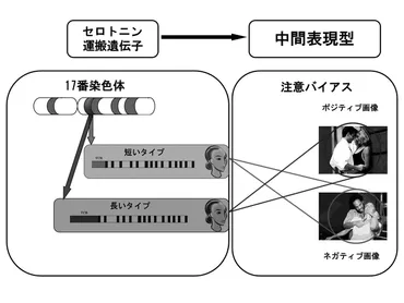 悲観的な脳でも､楽観的な脳に変えられる なぜマイケル・J・フォックスは復帰できたか 