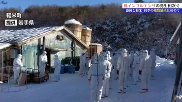 岩手県で鳥インフルエンザ発生！？ 高病原性ウイルス拡大の脅威岩手県における高病原性鳥インフルエンザの現状とは！？