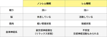 良い睡眠」はメリット満載！睡眠の質を上げるポイントとは？ 