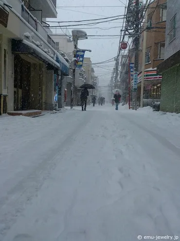 1969年以来の大雪 