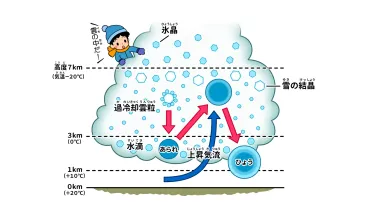 ひょう」はどんなふうに降ってくるの？ 