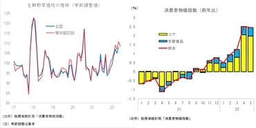 野菜高騰！2024年の物価上昇は本当にヤバイ？野菜高騰の原因と対策とは！？