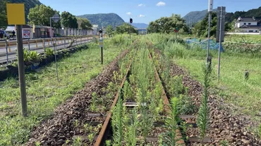 JR美祢線、存続の危機？ 沿線住民とJR西日本の思惑が対立！美祢線の未来とは！？