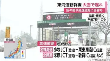 交通情報】大雪の影響で東海道新幹線は50分遅れの列車も…空の便でも欠航相次ぎ高速道路一部区間では通行止めに 日曜日は東京でも雪 の予想