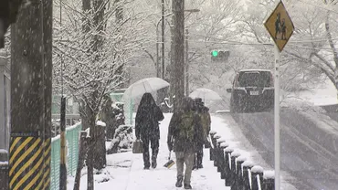 大雪情報】降雪量23日にかけさらに増える見込み 長野地域山沿い50ｃｍ、長野地域平地10ｃｍなど 24日にかけても北部中心に降雪続く見込み  交通障害に警戒（NBS長野放送ニュース）