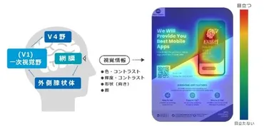 パッケージデザインで購買意欲を高めるには？成功の秘訣とは！？