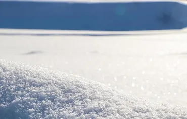 雪像ができるまで～制作の舞台裏・採雪の現場に密着 