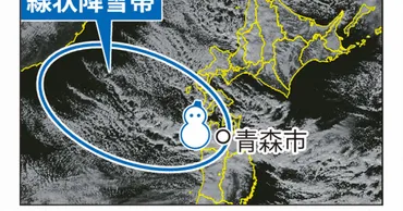 青森の記録的大雪、「線状降雪帯」関係か 海面水温上昇などで雪雲 