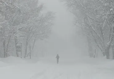 北海道大学のど真ん中で遭難危機 暴風雪で激変した衝撃の光景に「フェイク？」「行方不明者が出そう」 