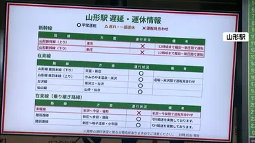 交通機関への影響】東海道新幹線で約50分程度の遅れも 全日空12便、日本航空2便が欠航 高速道の一部で通行止め…12日は東京でも雪 の可能性