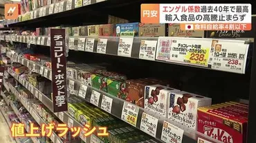 食費の割合」が過去40年で最高 円安で値上げラッシュ「あんまり上がらんといて…」 1983年以来のエンゲル係数 