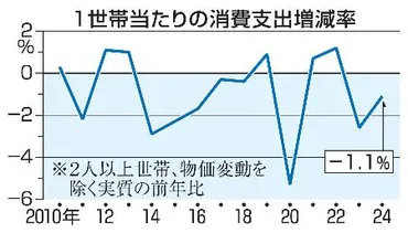 食費の支出割合４３年ぶり高水準 ２４年エンゲル係数、物価高影響 