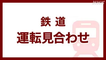 JR山手線内回り運行停止、信号確認による影響で通勤客に混乱