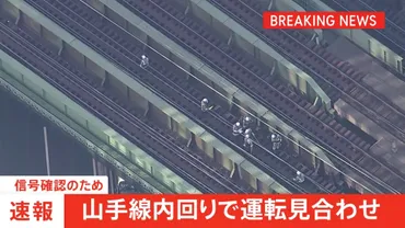 山手線内回りで運転見合わせ 信号機トラブルの影響 運転再開の見込み立たず JR東日本（2025年2月10日）