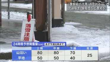 警報級の大雪」のおそれ、交通障害・暴風雪など警戒を【新潟】（UX新潟ニュース）