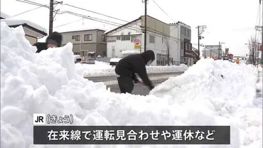 顕著な大雪」発表された新潟 きょうも交通機関への影響続く