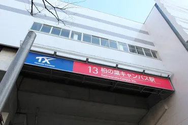 秋葉原～つくば間を最速45分で運行！輸送力向上で沿線の未来を支える「つくばエクスプレス」の魅力に迫る！ 