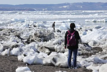 流氷、網走・根室沿岸に居座り続ける 「海明け」大幅遅れ 漁業者懸念：北海道新聞デジタル