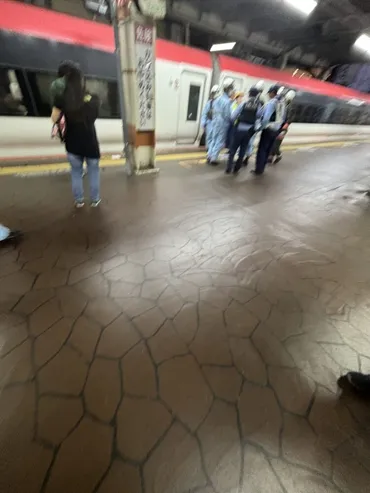 総武線快速 津田沼駅で人身事故「バッグをホームに置いて成田エクスプレス に女性が飛び込んだ」「バリバリバリって音がして見ちゃいけないものを見てしまった」中央総武線各停も巻き込まれ電車遅延 #総武線 6月27日 