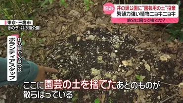 井の頭公園で土の不法投棄が相次いでいる！？深刻化する状況とは！？