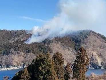 大船渡山火事、消火活動の現状と火災予防について知っておくべきこと？大船渡山林火災、緊迫の消火活動とは!!?