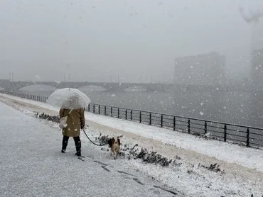 記録的大雪は新潟をどう変えた？交通マヒによる影響と今後の対策とは？新潟県を襲った記録的大雪!! 交通網への影響と市民の対応を徹底解説