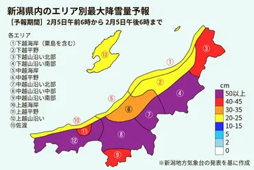 新潟県の天気・気象情報］月日、日は警報級の大雪！゛最強寒波゛で交通機関は計画運休、時間でメートルの降雪予報も