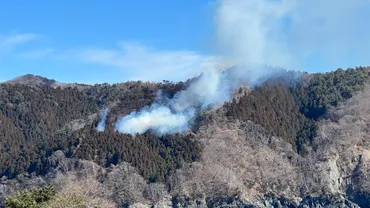 対岸から白煙が見える」岩手・大船渡市で林野火災が発生消火活動中（岩手放送）