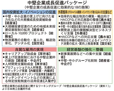 中堅企業の成長戦略とは？政府支援と成功の鍵を探る！中堅企業、成長を掴むための戦略とは!?