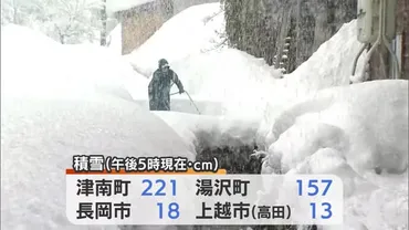 山沿い中心に大雪津南では積雪２メートル超平年比で２．５倍歩道脇に雪の壁【新潟】