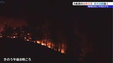 岩手県大船渡市の山林火災、鎮火までの4日間(焼失面積、避難指示、自衛隊、消火活動)？拡大の一途を辿る山林火災とは！？