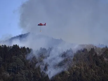 岩手・大船渡で山林火災、６２世帯１５７人に避難指示…陸上自衛隊などが消火活動読売新聞