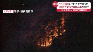 ゴミ焼きをしていて火が移った」岩手で新たな山火事陸前高田市と大船渡市で避難指示（日テレ）