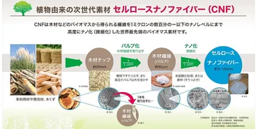 丸住製紙の挑戦！CNF（セルロースナノファイバー）と再生可能エネルギーで未来を切り開く？丸住製紙の持続可能な未来！CNFと再生可能エネルギー、その全貌とは!!?