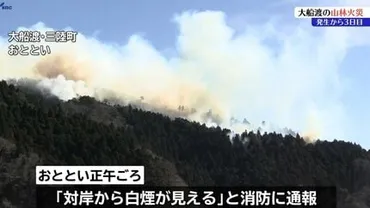 中継】大船渡市三陸町綾里の山林火災続く