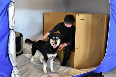 災害時、ペットどうすれば能登半島地震で活動の職員らが講座