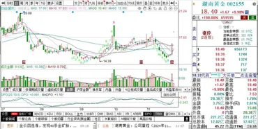 一則ニュースが話題を呼んでいます！の株が日連続で上昇し、平江で以上の金鉱脈が発見され、将来の埋蔵量は千トンを超える見込みです。