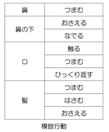 ミラーリングのやり方と効果