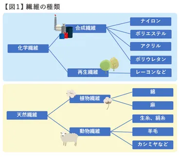 化学繊維・天然繊維とは？今さら聞けない種類と特徴！