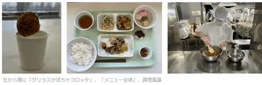 国内初、学校給食へ食用コオロギパウダーを供給グリラス–健康美容ニュース