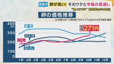 卵価格高騰』北海道で過去一早い「鳥インフル」発生対策の最前線と取り巻く環境変化厳戒の養鶏場