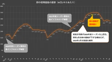 今年も鳥インフルエンザの季節が間近に。卵価格に与える影響は？