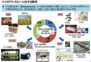 クモの糸」を超える「ミノムシの糸」がバイオエコノミーを加速する