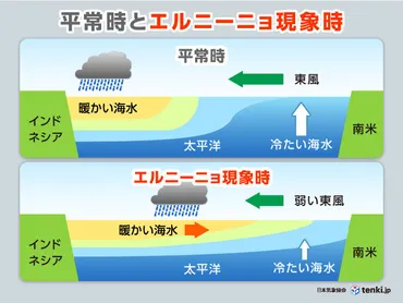 エルニーニョ現象とは発生時は冷夏や暖冬になりやすい台風傾向など日本への影響を徹底解説季節・暮らしの話題年月日