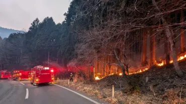 岩手・大船渡で山林火災、人以上が避難延焼続く