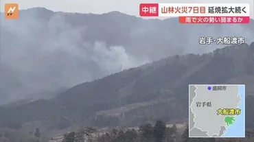 岩手・大船渡市の山火事日未明から雪が降り始め、昼ごろから雨に岩手では日から公立高校の入試