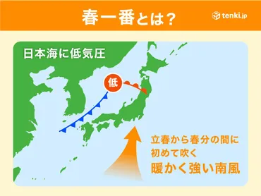 春一番ってなに？2024年の春一番と注意点を紹介！(春一番)春一番、2024年はいつ？注意点も解説