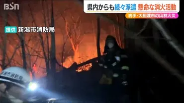 乾燥もしていて火の手が収まらない」岩手県大船渡市の山火事に新潟からも消防派遣懸命な消火活動続く（新潟放送）