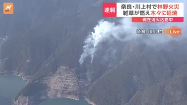 刈った雑草を燃やしていたら付近に燃え移ってしまった」奈良県川上村で山火事現在も延焼中()